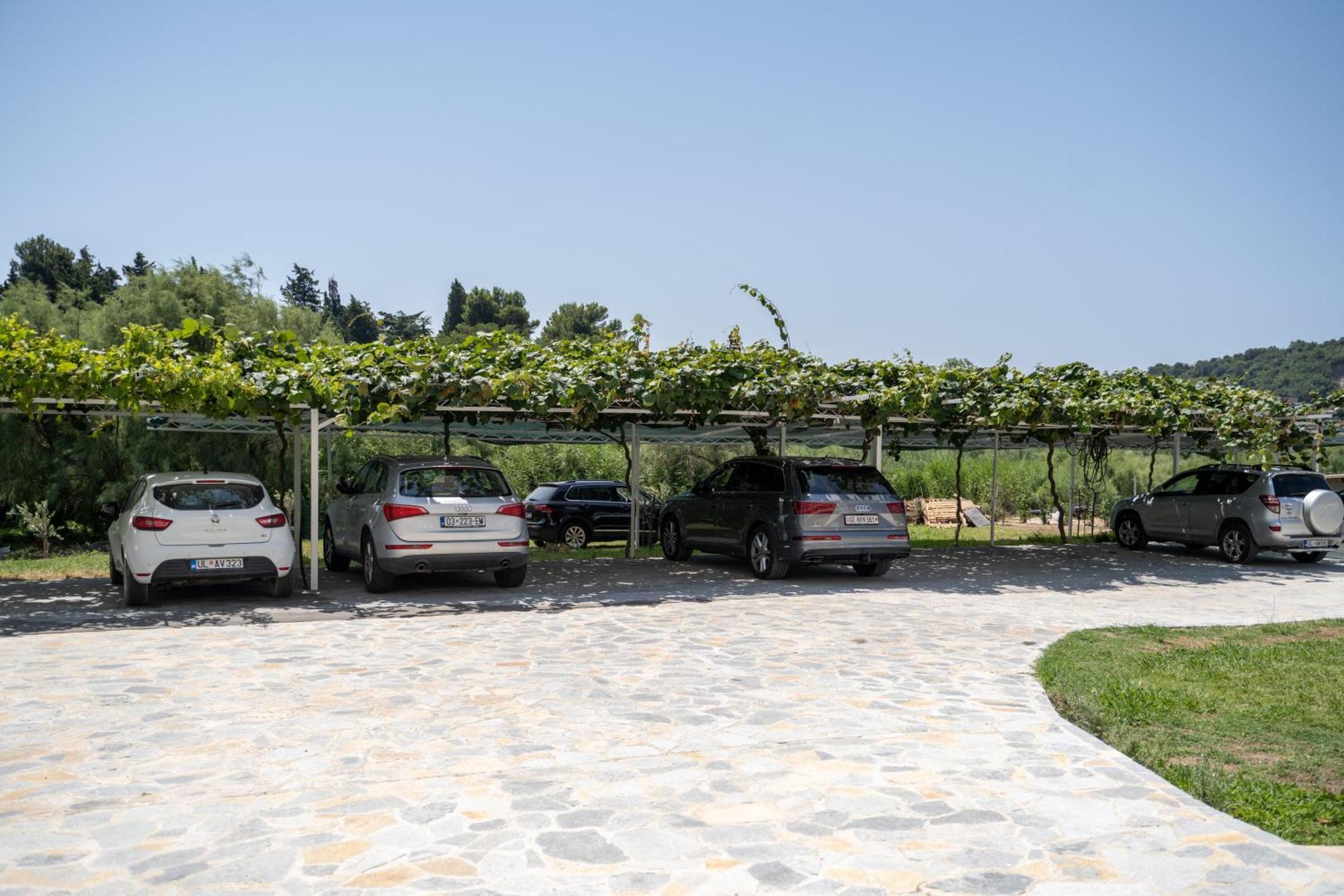 Villa Antonio Ulcinj Exterior foto
